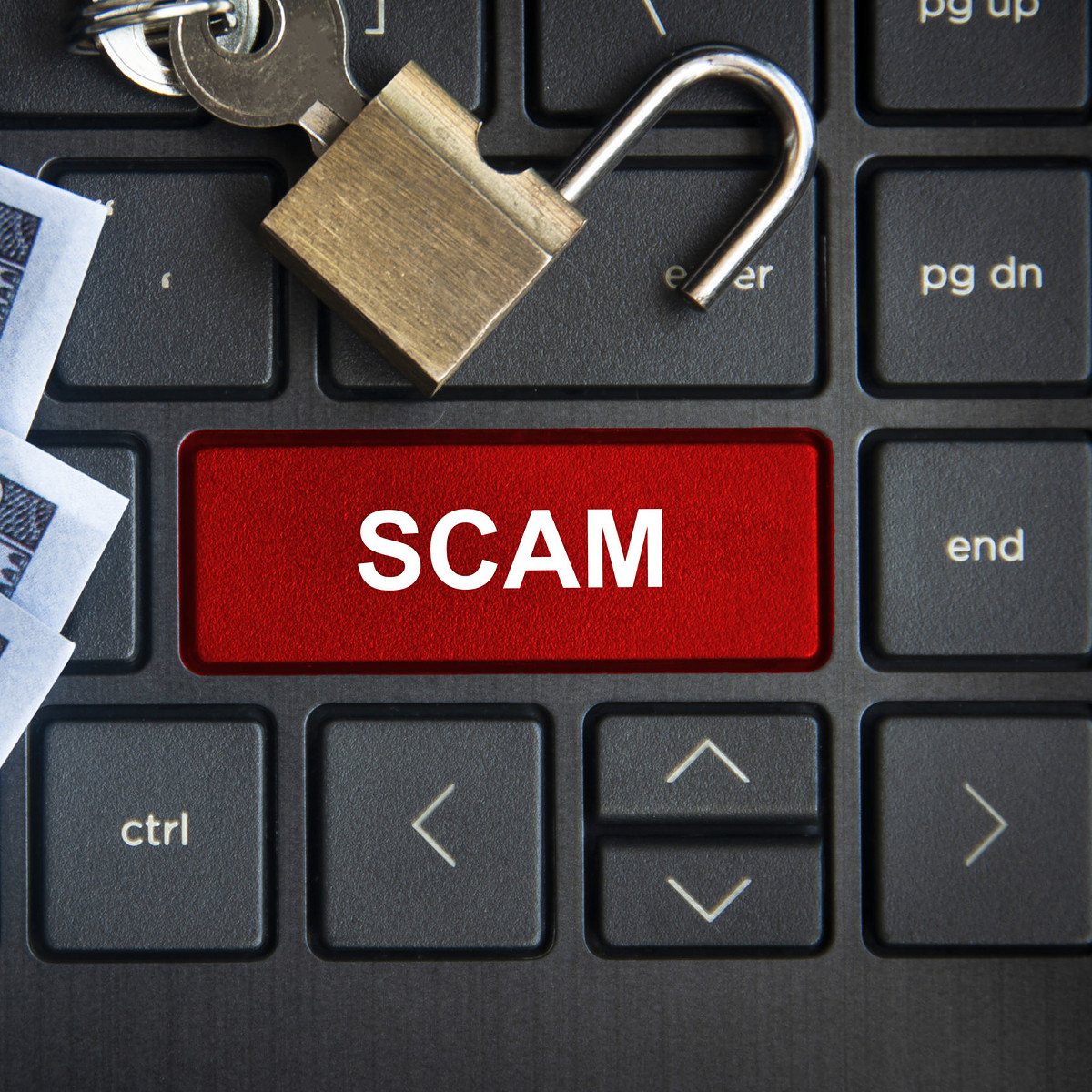 10 eBay Motors Scams Explained and How To Avoid Them Booked Solid